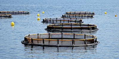 pesca fidicoop sardegna